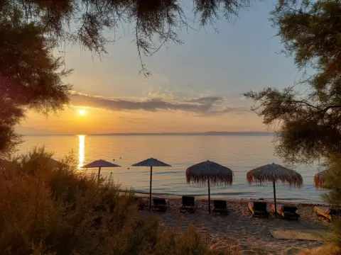 Chios Shallow Sea, Πλάκα