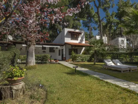 Pine Villa, Σάνη