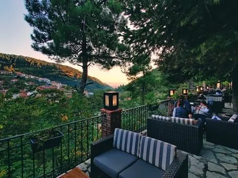 Steni Hotel, Στενή